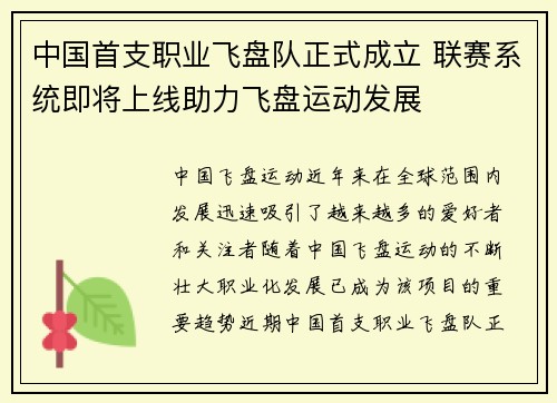 中国首支职业飞盘队正式成立 联赛系统即将上线助力飞盘运动发展
